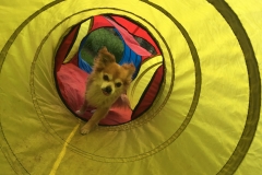 Luca-im-Tunnel