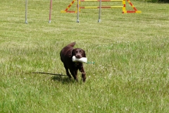 Oskar